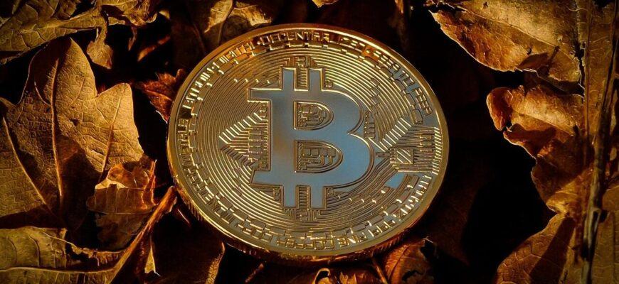 bitcoin, currency, finance, coin, crypto, cryptocurrency, brown finance, bitcoin, crypto, crypto, crypto, crypto, cryptocurrency, cryptocurrency, cryptocurrency, cryptocurrency, cryptocurrency